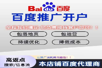 百度竞价包年全解析：成功案例分享